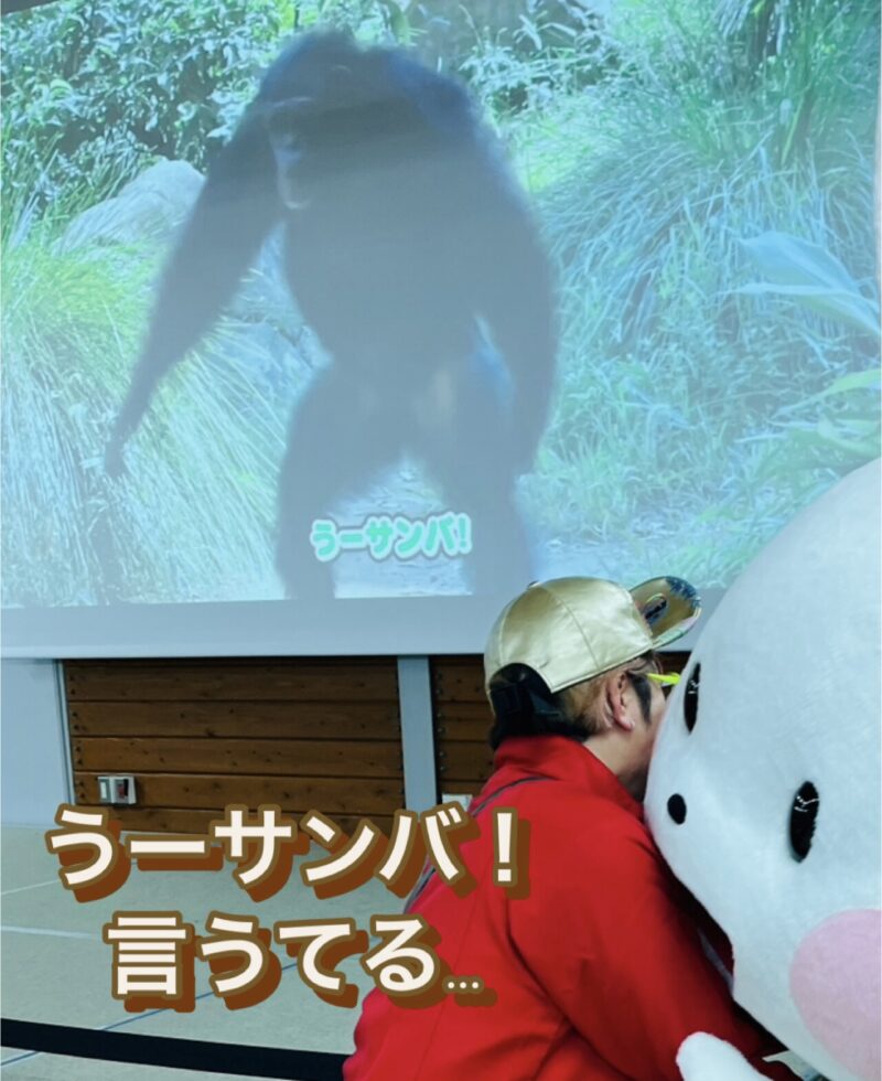サンバなチンパンジー　