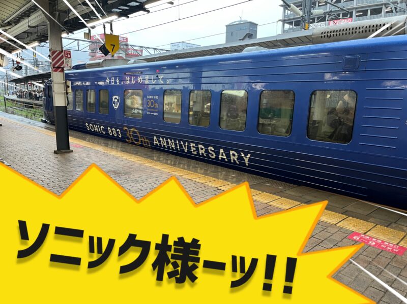 青いソニック様